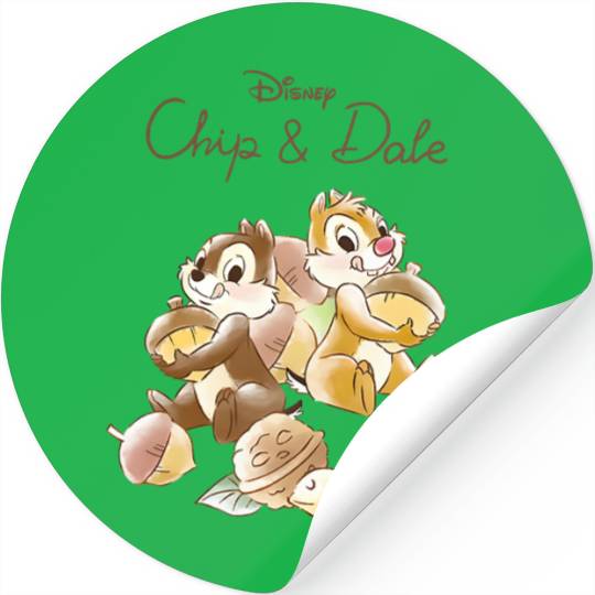 Chip n Dale Stickers, Stickers, Stickers, Disney Character Stickers , Chip and Dale Characters