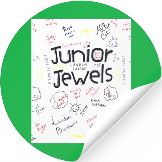 Eras Tour You Belong With Me Stickers