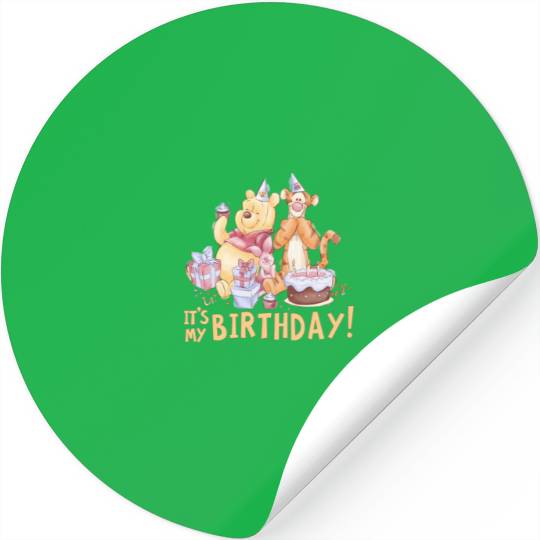 Disneyss Winnie The Pooh Its My Birthday Stickers
