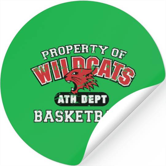Disney High School Musical The Series Wildcats Distressed Stickers