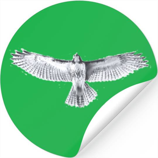 Red-Tailed Hawk Stickers