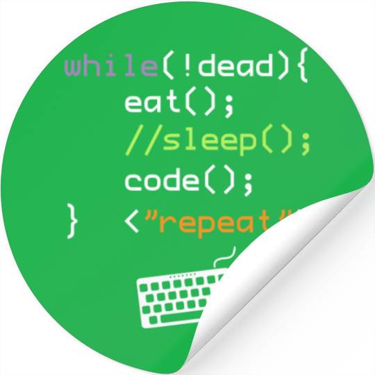 Computer Science Programmer Stickers