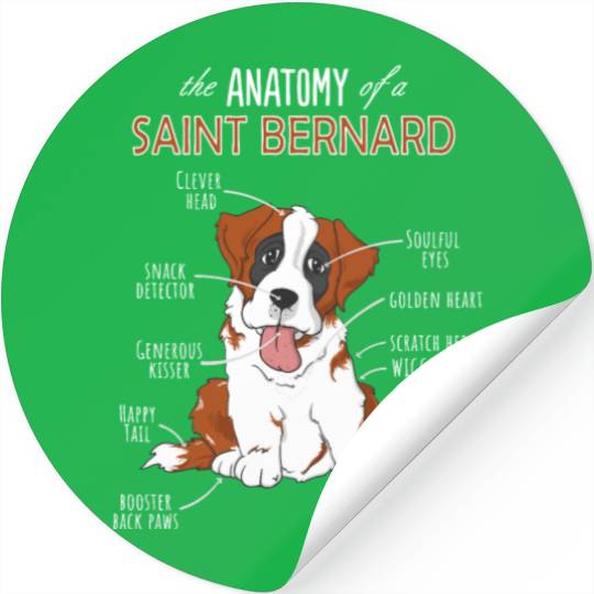 The Anatomy Of A Saint Bernard - Funny Dog Stickers