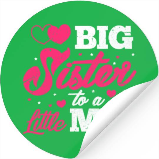 Big Sister To A Little Mr. Stickers