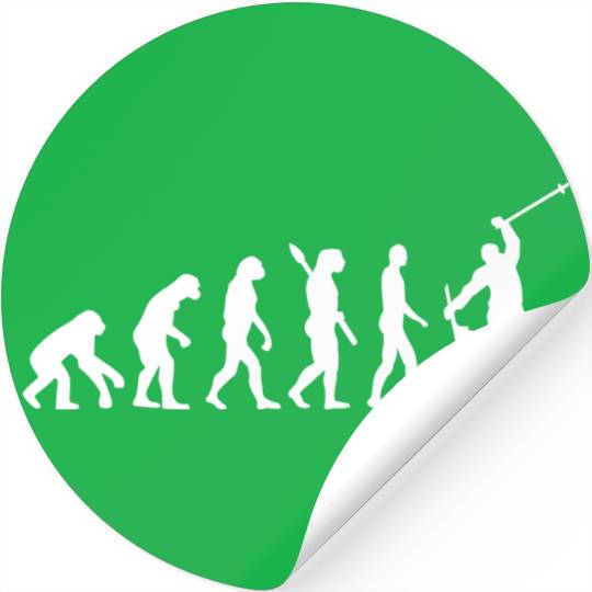 Evolution Ski Stickers