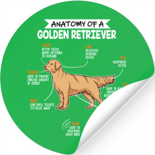 Anatomy Of A Golden Retriever Funny Dog Owner Gift Stickers