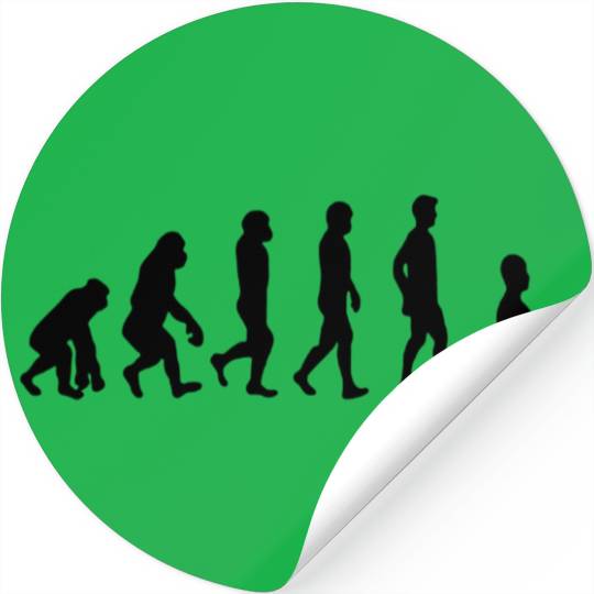 Evolution Stickers