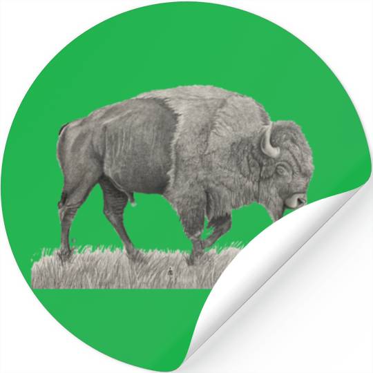 Buffalo Drawing Stickers