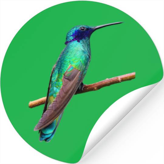 Hummingbird Stickers
