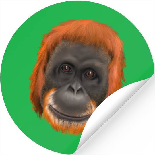Orang-Utan Monkey Ape Stickers