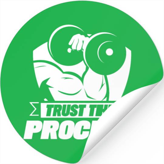 Trust The Process Gym Motivation Fitness Workout Stickers