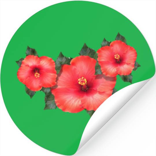 Hibiscus Stickers