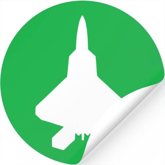 F 22 Raptor Fighter Jet Stickers