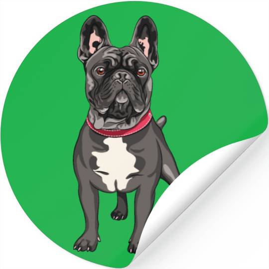 Black French Bulldog Stickers