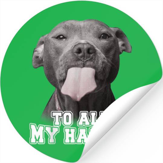 Funny Pitbull To All My Haters Stickers