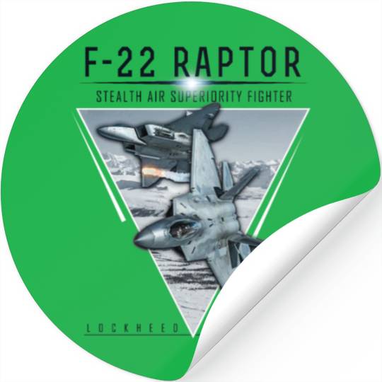 Aircraft Army US Airborne Fighter Pilot Stickers
