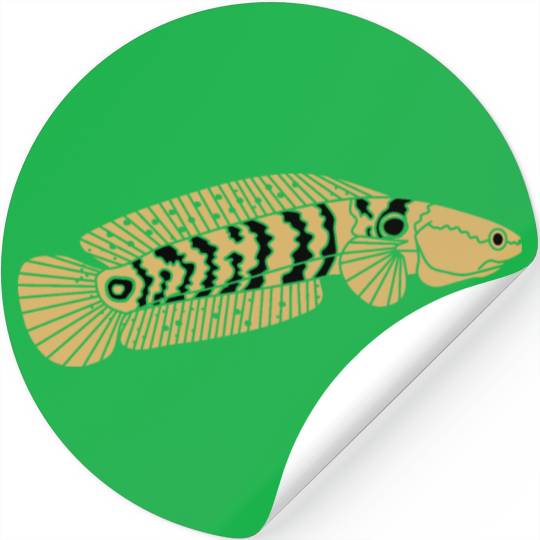 black and gold channa snakehead fish illustrations Stickers