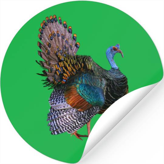 Iridescent Ocellated Turkey Stickers