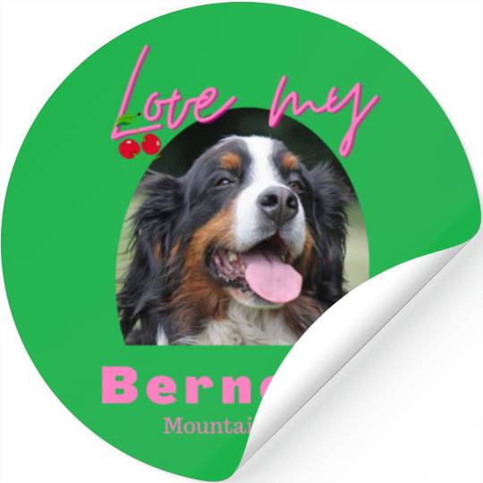 Love my Bernese Mountain Dog Girl Stickers