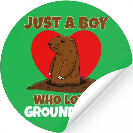 Just A Boy Who Loves Groundhog Stickers