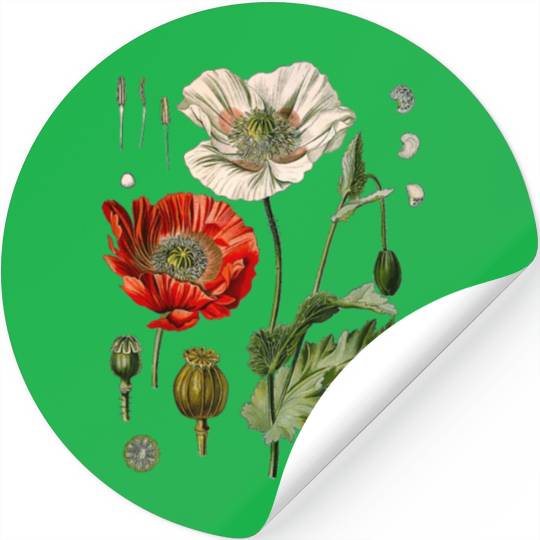 Red Poppy flower Botanical Poppies Red Poppy Stickers