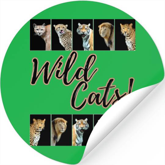WILDCATS! | Lion, Leopard, Cheetah, Puma, Tiger Stickers