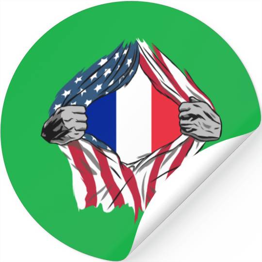 USA France friendship flags design Stickers