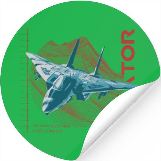 Aviator F-14 Tomcat Stickers