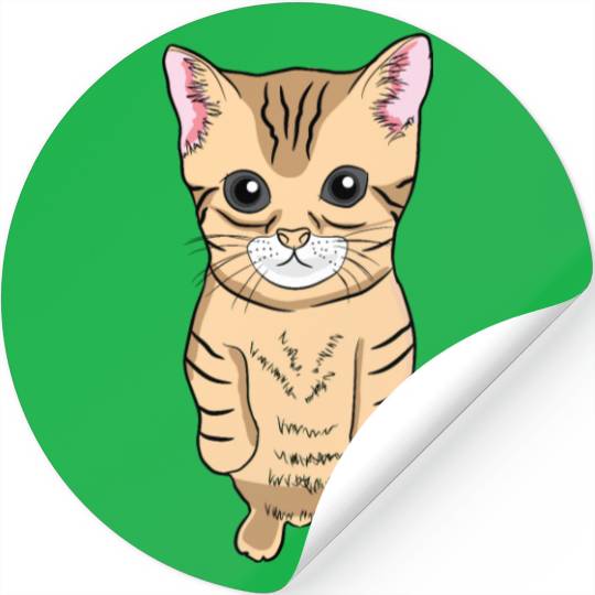 Cute Standing Cat Meme Cute Kitten Standing on Two Stickers