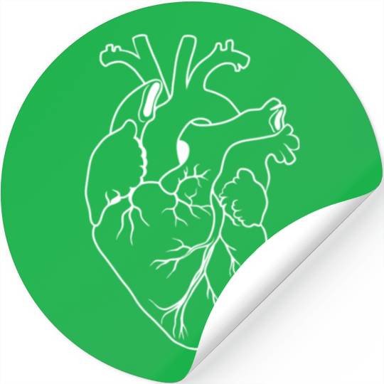 Anatomic Heart Drawing Stickers