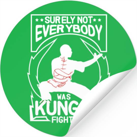 Not Everybody Was Doing Kung Fu Stickers