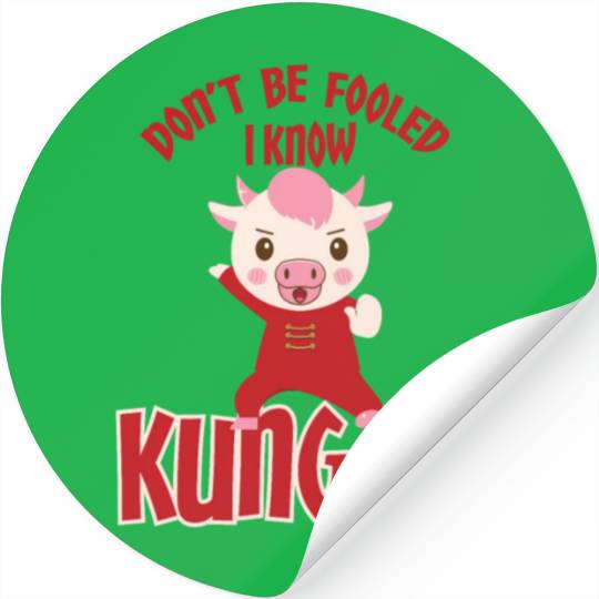 Dont Be Fooled I Know Kung Fu Stickers