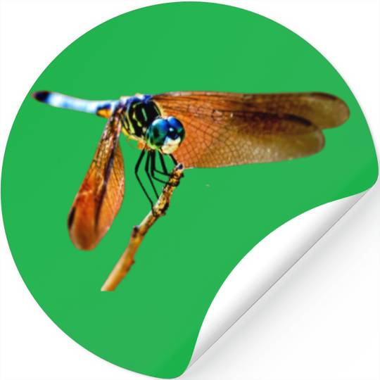 Colorful dragonfly on a branch Stickers
