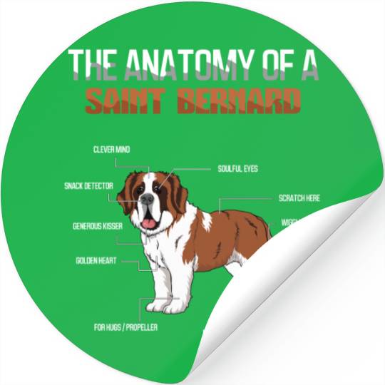 Definition Animal Pet Anatomy Of Saint Bernard Stickers