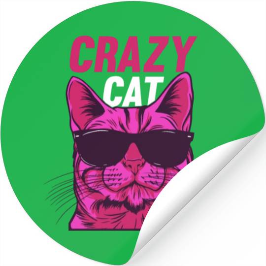Cat Lover Cat Owner Funny Cat Meme I Crazy Cat Stickers