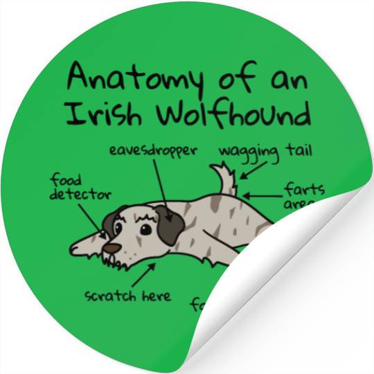Anatomy Of A Irish Wolfhound Stickers