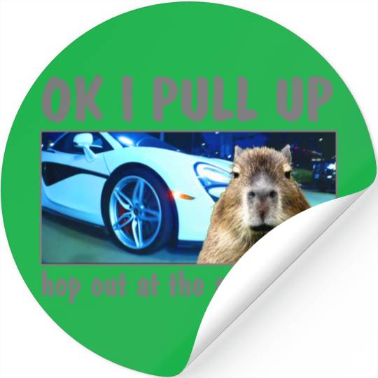 Ok I Pull Up Capybara Meme After Party Rap Song ar Stickers