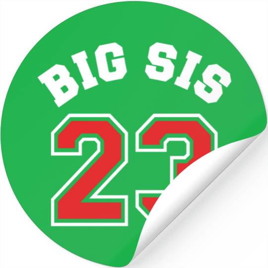 Big Sis 2023 - Big Sister Baby Family Birth Girl Stickers