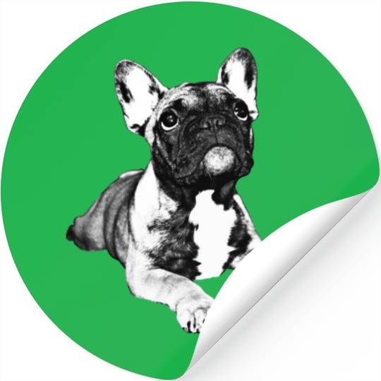 french bulldog puppy Stickers