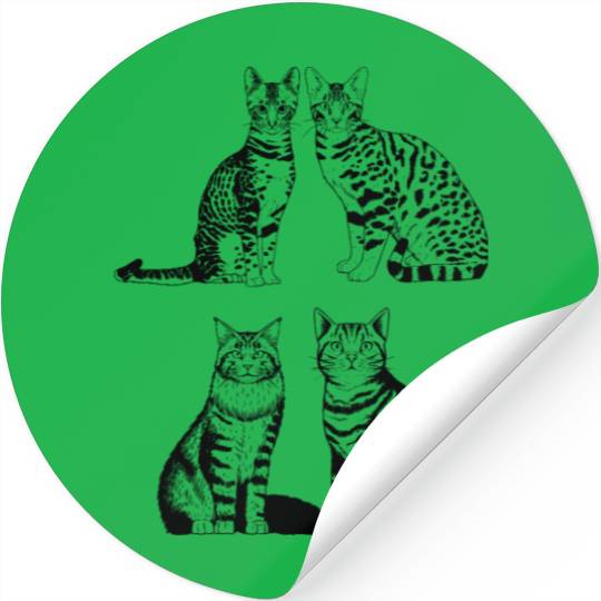 Collection cats tiger Stickers