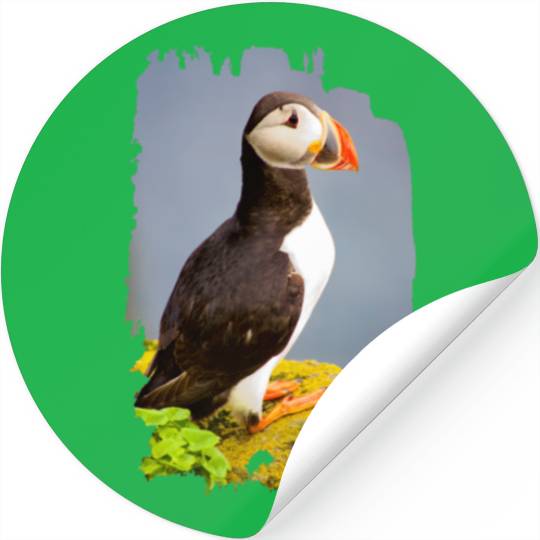 Atlantic Puffin Stickers