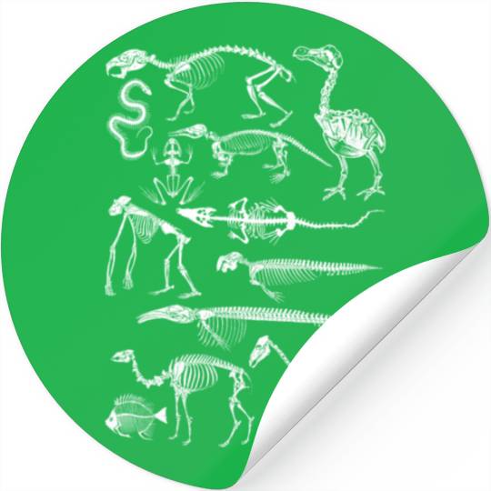 Animal Bones Biology Zooarchaeology Stickers