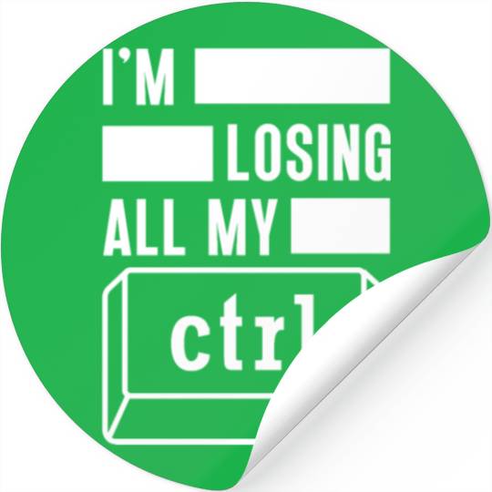 Cyber Security Computer Key Software Engineer Stickers
