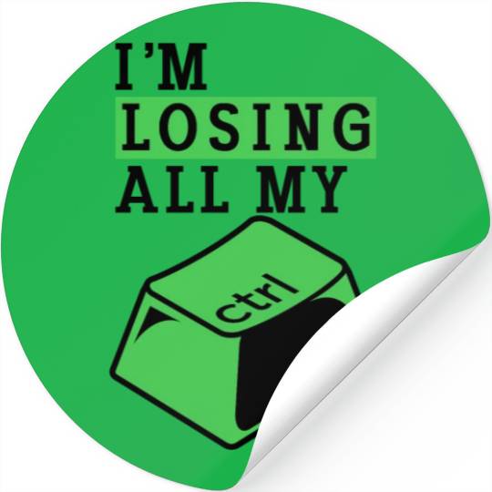 Cyber Security Computer Key Software Engineer Stickers