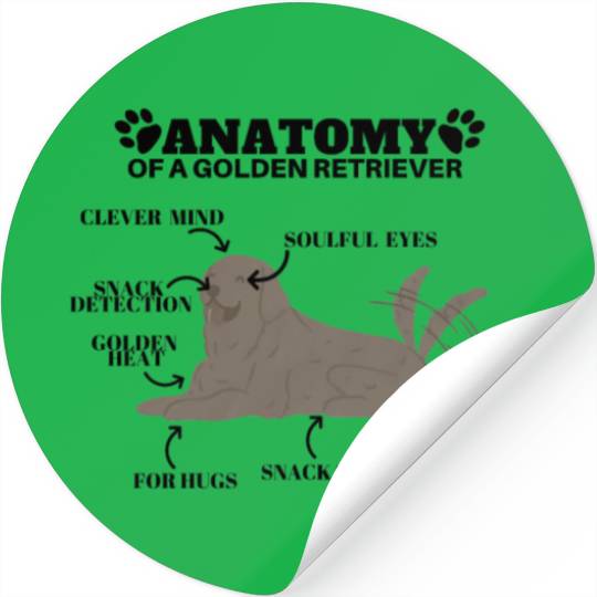 Anatomy of a Golden Retriever FunnyDog Lover Stickers