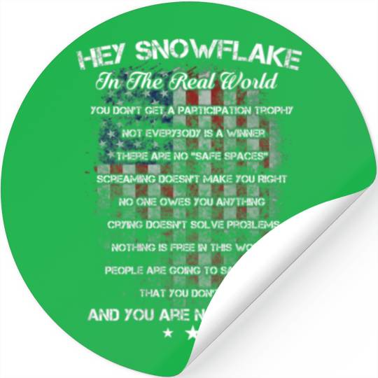 Hey Snowflake In The Real World Veteran Stickers