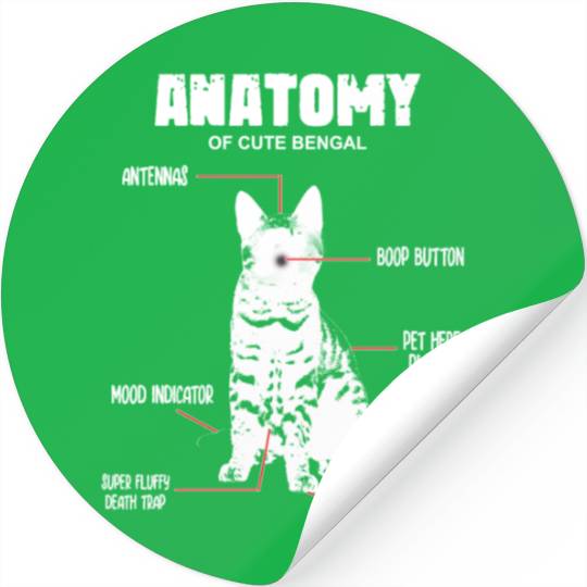 ANATOMY of cute bengal cat Stickers