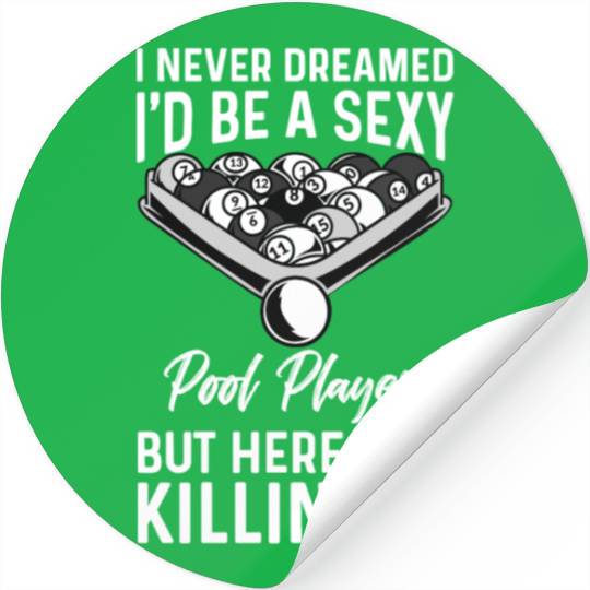 I Never Dreamed Billiards Pool Player Stickers