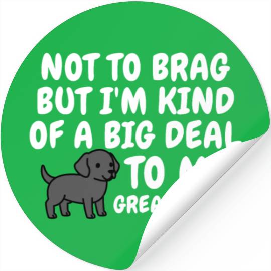 I'm Kind Of A Big Deal To My Great Dane Stickers
