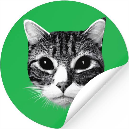 cat of dark Stickers